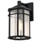 Nuvo Raiden Outdoor Small Wall Lantern 1 Light Matte Black 60/5760 - alternate 1